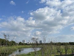 -苏州湾体育公园
