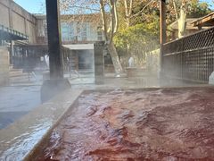 -春晖园度假酒店温泉