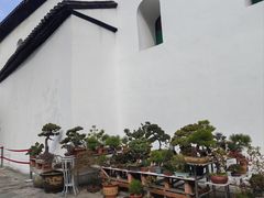 -凤凰寺