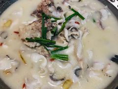 筒骨鱼-陈生记黑鱼馆·20年活鱼现杀(宁波鼓楼店)