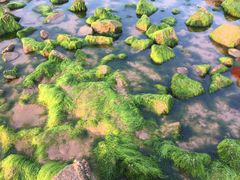 -青岛第三海水浴场