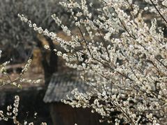 -福建天门山