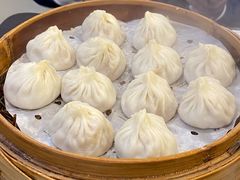 鲜肉小笼-大龙汤包
