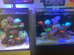 -Rabbit Cafe私房西餐甜点咖啡(栖霞路店)