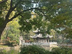 -习家池