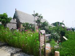 -烟墩角天鹅湖