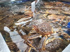 -盒马鲜生(大成店)