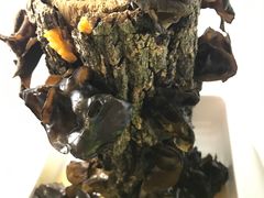-番食园鲜食火锅(高新店)