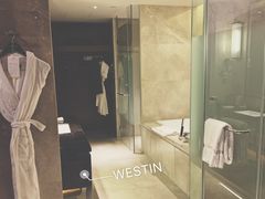 -广交会威斯汀酒店