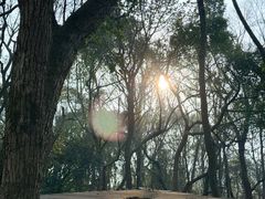 -九曜山