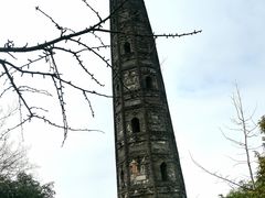 -上海佘山国家森林公园天马山园