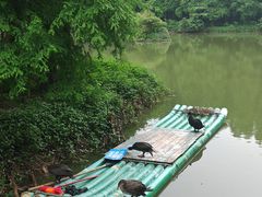 -星湖旅游景区七星岩