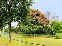 -云龙湖旅游景区