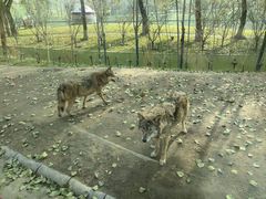 -北京野生动物园