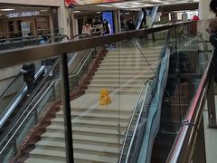 -中国中医科学院西苑医院(本部)