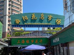 -曲阳花鸟市场(曲阳路店)
