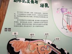 -君乐宝优致牧场