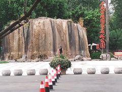 -合肥滨湖国家森林公园