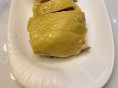 -老绍兴养和饭店(向阳不夜城店)
