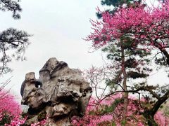-杭州植物园