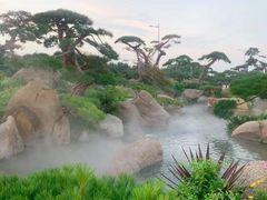 -罗红摄影艺术馆