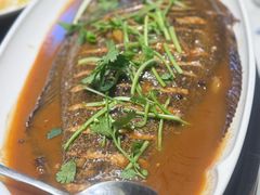 -美达尔烧烤(大尧三路店)