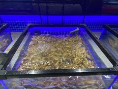 水产区-圣罗巴海鲜自助(黑金店)