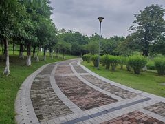 -飞来湖湿地公园