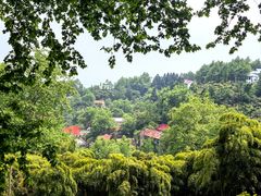 -莫干山风景区