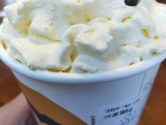 -茶颜悦色(岳麓山顶店)