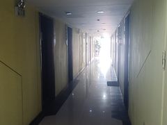 -绿地新都会
