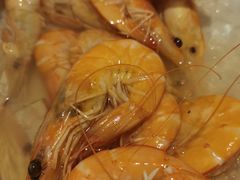 -圣丰索菲特·2 On 988 Café 自助餐厅