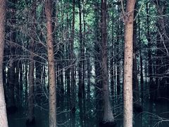 -捞渔河湿地公园
