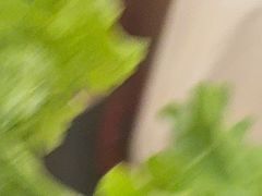 -九田家黑牛烤肉料理(衡百国际店)