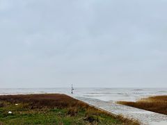 -南汇嘴观海公园