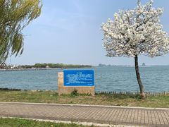 -阳澄湖半岛旅游度假区