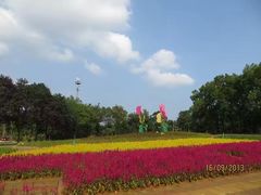 -雀儿山公园