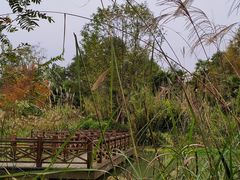 -桤木河湿地公园