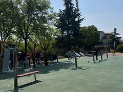-澹台湖公园