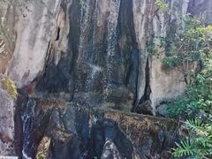 -昆明动物园