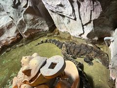 -泉城欧乐堡海洋极地世界