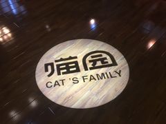 -喵园·猫主题咖啡厅·撸猫·猫咖(国贸店)