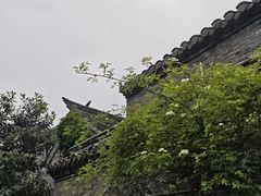 -回龙窝历史文化街区