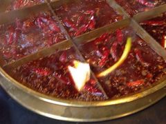 杨家火锅(青年路店)-杨家火锅(国美店)