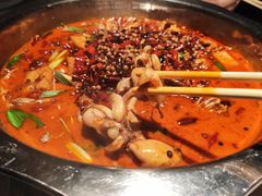 -宽口美蛙鱼头(大唐西市店)