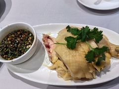 -沈大成(南京东路店)