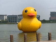 -琅岐红光湖公园