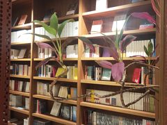 -二酉书店TOYOU BOOKS