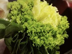 青菜拼盘-海底捞火锅(铁西万达店)