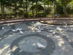 -南宫五洲植物乐园